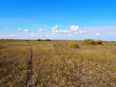 с.Усть-Суерка, поселение-5