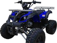 Квадроцикл MOTAX ATV Grizlik-8 125