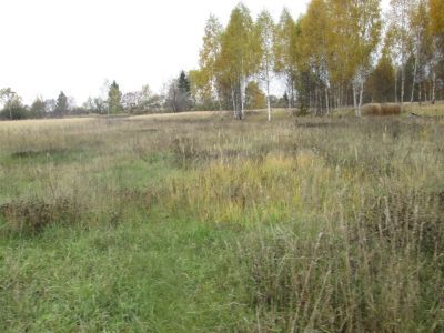 Памятное место, где в 1858-1860 гг. происходили продолжительные и упорные выступления крестьян против помещика, о которых сообщалось в герценовском «Колоколе»