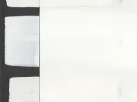 Гуашь Pinax, банка 100 мл, Белила титановые