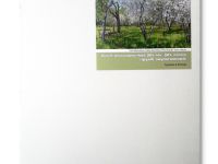 Холст на подрамнике грунтованный Реалистик СПЕКТР мелкозернистый 20х25 см