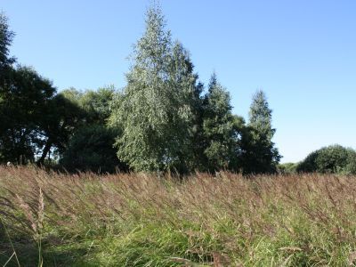 Памятное место, где в апреле-июне 1942 г. располагались штаб и ремонтные мастерские партизанского полка им. 24 годовщины РККА