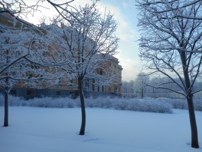 Сад вокруг Михайловского замка