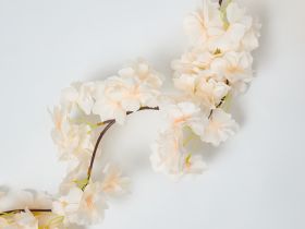 Ветвь Вечный сад/Eternal Garden I