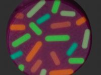 Бусина "Пончик", Stabwoodstone