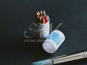 Набор мини-карандаши цветные Talent Toys 12 шт в тубусе