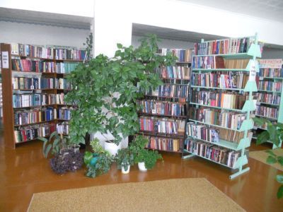 Новокурмашевская сельская библиотека