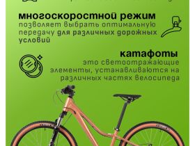 Подростковый велосипед Stinger Laguna 24 JR, год 2025, цвет Коричневый