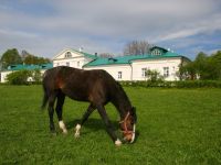 Музей-усадьба Л. Н. Толстого «Ясная Поляна»