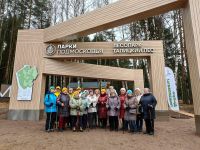 Лесопарк «Талицкий лес»