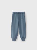 Брюки трикотажные Terry Storm Blue
