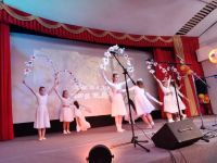 Молодежный досуговый центр «Ровесник»