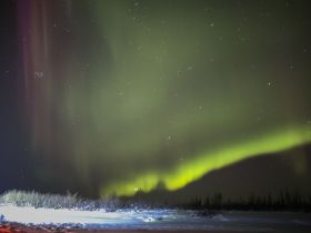 Арктическая автоэкспедиция "Индигирка". Якутск – Оймякон – Чокурдах – Русское Устье