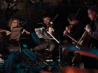 МАГИЯ СВЕЧЕЙ. «От Вивальди до Jingle Bells» в Оранжерее