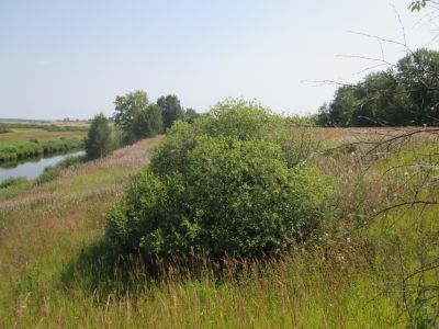 Родина Героя Советского Союза А.М. Романенкова, погибшего в 1940 г.