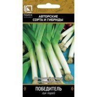 Лук порей Победитель
