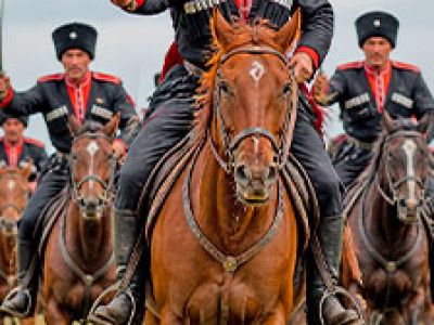Культурно-просветительский проект «Державы верные сыны»