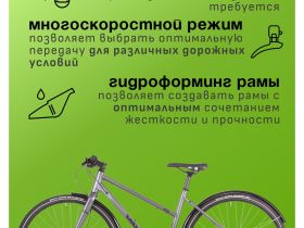 Женский велосипед Atom Symbiotic Speed Lady, год 2024, цвет Серый, ростовка 20