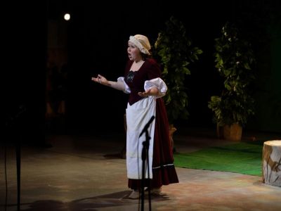 Билеты на Красная Шапочка (Царицынская опера) / Театр | Афиша | ИнфоТаймс