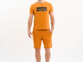 Футболка Nordski Simple Logo Bronze