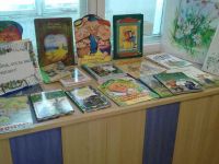 Библиотека п. Жирекен