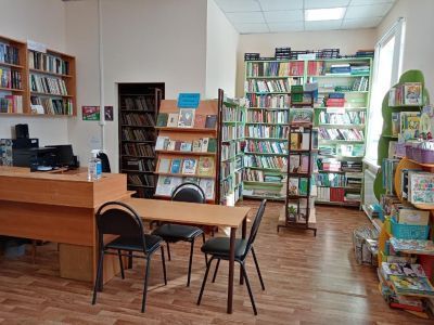 Усть-Немская библиотека