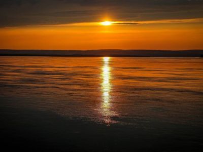 Пока в Якутии была ночь: пожар в зоопарке Ростова-на-Дону, тест «Рувики», транзитная виза в Египте