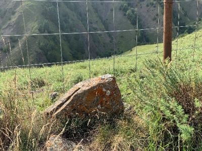 Стела № 40 раннемусульманского кладбища № 3 архитектурного комплекса "Мусийкъонгийкоте"