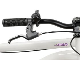 Подростковый велосипед Foxx Arimo 24 Disc, год 2026, цвет Черный