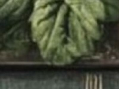 Рязанский генеалогический клуб