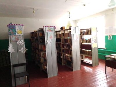 Дубовская сельская библиотека