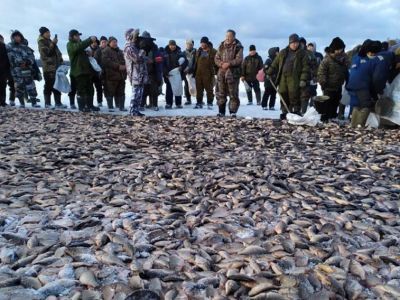 ФОТОФАКТ. Мунха. Большая рыбалка от главы Верхневилюйского района Якутии