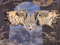 Народная галерея