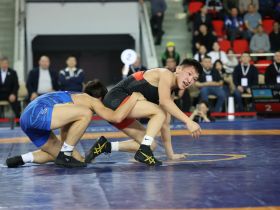 Два борца из Якутии стали обладателями серебряных медалей турнира Романа Дмитриева