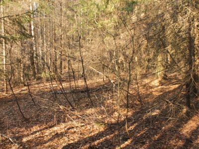 Родина Героя Советского Союза Н.Е. Платонова