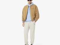 Мужская толстовка - худи Lacoste из хлопка