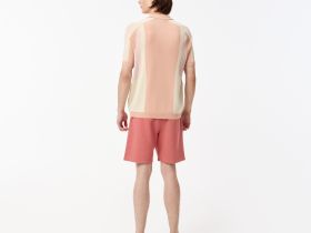 Мужской свитер Lacoste из вискозы