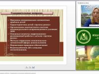 Индивидуальное сопровождение ребенка с эмоционально-личностными проблемами развития