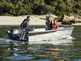 4х-тактный лодочный мотор YAMAHA F20BES