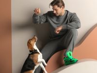 Брюки Массимо мужской/Massimo men, серые прямые