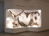 Музей природы г. Новосибирска