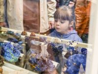 Музей «Мир камня»