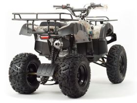 Квадроцикл MOTOLAND 200 All Road (2021 Г.)