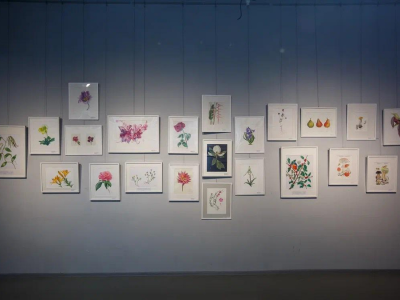 В Якутске стартовал Фестиваль знаний «Зимний сад – Winter@Garden»