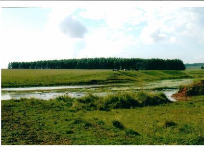 Священная роща