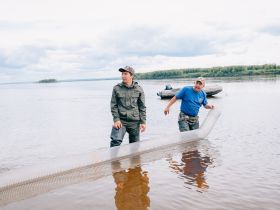 Школьников Якутии впервые привлекли к ежегодному зарыблению Лены
