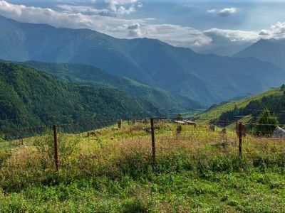 Раннемусульманское кладбище № 2 архитектурного комплекса "Мусийкъонгийкоте"