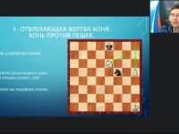 Международный вебинар «Коневой и слоновый эндшпиль»