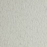 Бумага для пастели Fabriano "Cartacrea" 21x29,7 см 220 г, иней