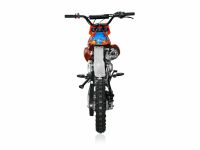 Питбайк APOLLO RFZ Start 110E Auto 2022